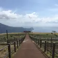 八丈富士牧野・ふれあい牧場の写真_122384
