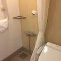 竹芝桟橋の写真_122403