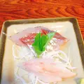 いそざきえんの写真_122436