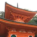 紀三井寺の写真_122505