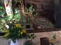 ムギマル2（mugimaru2）の写真_122570