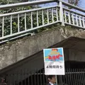東京タワーの写真_122582