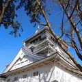 小倉城の写真_123048