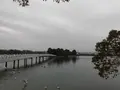大濠公園の写真_123151