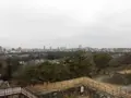 福岡城跡の写真_123152