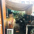 南阿蘇珈琲 Shop大江の写真_123210