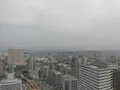 福岡タワーの写真_123358