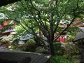 とうふ屋 うかい 鷺沼店の写真_123461