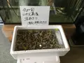 手打ち蕎麦 かわせみの写真_123676