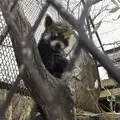 アニマルワンダーリゾウト（市原ぞうの国）の写真_123685