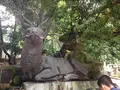 春日大社の写真_124190