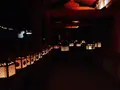 春日大社の写真_124205