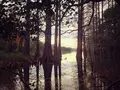 篠栗九大の森の写真_124296