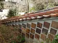 天津神社の写真_124416