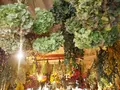 プルミエ・エタージュ （1er ETAGE） の写真_124452