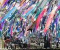 杖立温泉の写真_124716