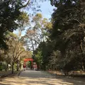 下鴨神社（賀茂御祖神社）の写真_124920