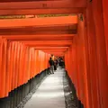 伏見稲荷大社の写真_124927