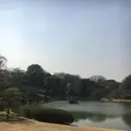 六義園の写真_124962