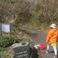 八丈富士の写真_125115