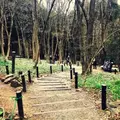 佐野市 万葉自然公園 かたくりの里の写真_125123