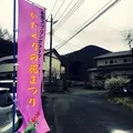 佐野市 万葉自然公園 かたくりの里の写真_125125