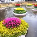 あしかがフラワーパークの写真_125126