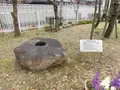 芦屋市立美術博物館の写真_125245