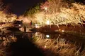 なばなの里の写真_125259
