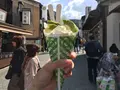 清水寺の写真_125285