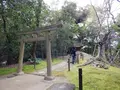 岡山後楽園の写真_125363
