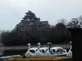 岡山後楽園の写真_125364