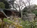岡山後楽園の写真_125371