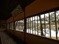 岡山後楽園の写真_125372