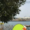 天保山公園の写真_125617