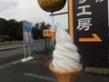 安富ゆず工房の写真_125628