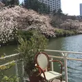 CANAL CAFE（カナルカフェ）の写真_125772