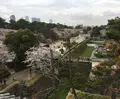 名古屋城の写真_126090