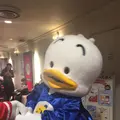 サンリオピューロランドの写真_126168