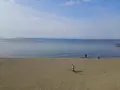 新舞子海水浴場の写真_126224