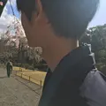 伝法院の写真_126262