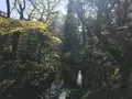 伝法院の写真_126263