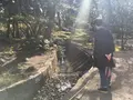 伝法院の写真_126265