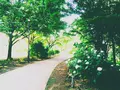上用賀公園の写真_126284