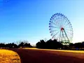 国営ひたち海浜公園の写真_126299