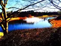 国営ひたち海浜公園の写真_126349
