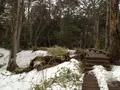 湯滝の写真_126425