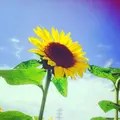 那珂総合公園の写真_126459