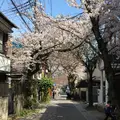 鎌倉宮の写真_126704