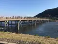渡月橋の写真_126761
